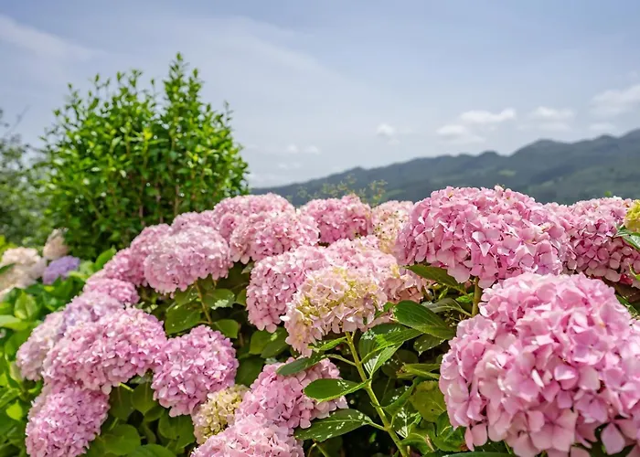 Alpstuga Vv Honorato 1