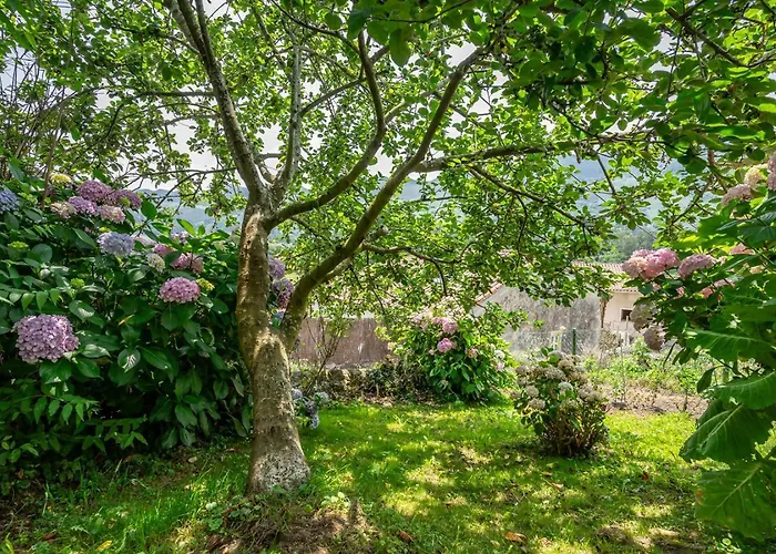 Vv Honorato 1 샬레 산타 에우랄리아 데 리오