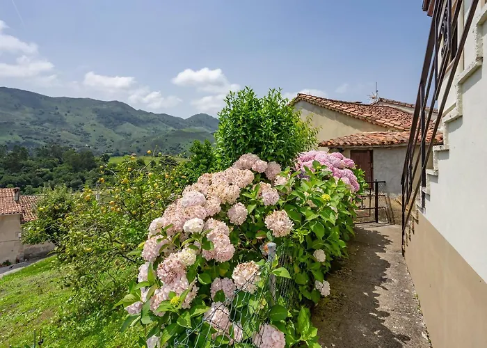 Vv Honorato 1 산타 에우랄리아 데 리오