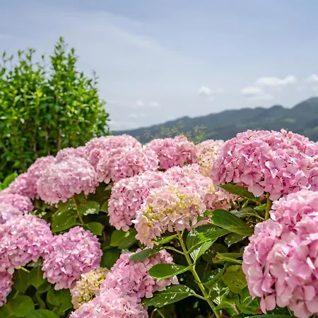 Σαλέ Casa Honorato En La Montana