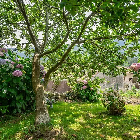 Casa Honorato En La Montana Σαλέ Santa Eulària des Riu